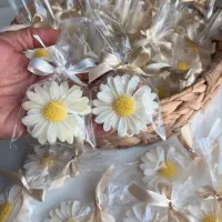 شمع|صنایع دستی و سایر لوازم تزئینی|جهرم, |دیوار