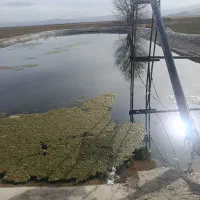 اجاره استخر پرورش ماهی