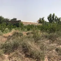باغ در جنت اباد قم|فروش دفتر صنعتی، کشاورزی، تجاری|تهران, امین حضور|دیوار