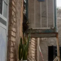 وسایل نو