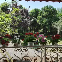 ویلا تک خواب در ماسال