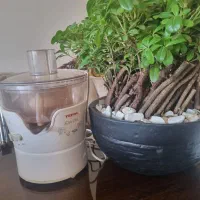 اب میوه گیری و مخلوط کن