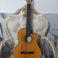 فروش فوری گیتار نو