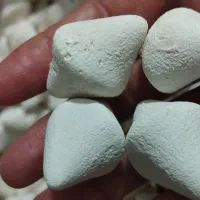 لبنیات