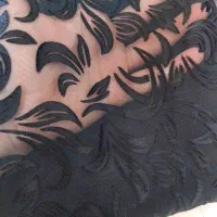 چادر مجلسی