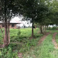 ۳/۲۸۳ متر خانه محوطه جنگلی