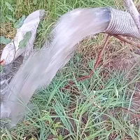 8من-زمین-باغ-روستای-چلقایی