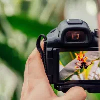 آموزش و خدمات عکاسی و فتوشاپ و ادیت فیلم