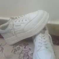 یک جفت کتونی سایز ۴۰ بفروش میرسد