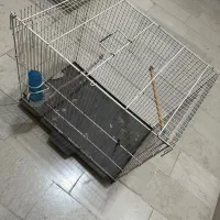 قفس پرنده