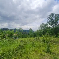 زمین-سند-دار-ویوابدی-معاوضه