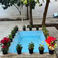 پانسیون لوکس دخترانه کارمندی و دانشجوی