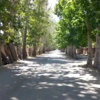 1000متر-زمین-خیابان-جم-قابل-تفکیک