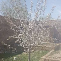 فروش کارگاه صنعتی
