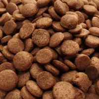 غذا خشک گربه سگ کیفیت خوب قیمت قدیم
