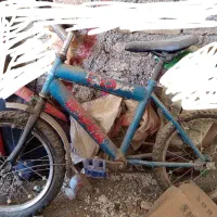 ۳عدد دوچرخه