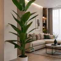 درخچه مصنوعی گلدون پرنده بهشتی اریکا سیکاس