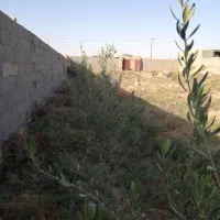 باغ1400متری