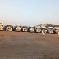راننده برای تریلی