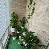 68متر نیم دوخواب /فول امکانات /فلکه اول تختی