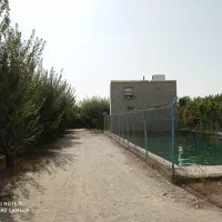 باغ-کشاورزی-زمین-کشاورزی-گلخانه