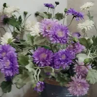 گل خارجی کوکب وگلدان