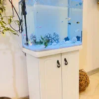 اکواریوم فروشی