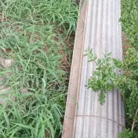 فروش کرکره مغازه سالم