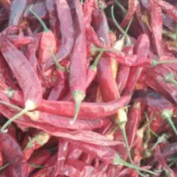 خرید فلفل قرمز قلم