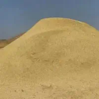 کاه گندم