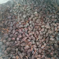 مویز گوشتی درجه ۱ بردسیر