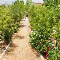 باغ ویلاشخصی،مبله،بهترین لوکیشن هومندوادان دماوند|فروش خانه و ویلا|تهران, هفت حوض|دیوار