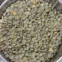 عدس محلی