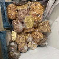 میوه خشک