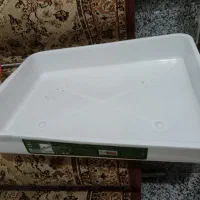 ظرف حلوا شکری