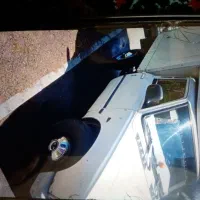 نیسان یخچالدار دوگانه شرکی مدل ۹۵