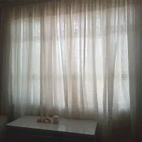 پرده تور دو عدد