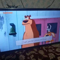 ۵۵ ایکس ویژن|تلویزیون و پروژکتور|مشهد, مقدم|دیوار