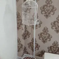 قفس