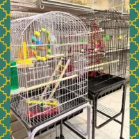 فرصتِ خریدِ قفسِ طوطی با قیمتِ اقتصادی