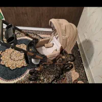 کالسکه بدنه مسی نو