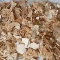 نان خشک