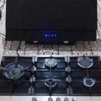 اجاق گاز صفحه ای وهودلمسی