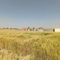 فروش-3000مترزمین