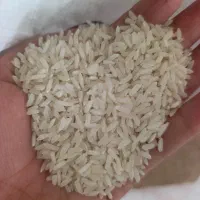فروش برنج