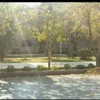 رهن و اجاره مغازه چهارراه خادمی ،داخل خیابان باهنر