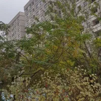 آپارتمان 73 متری صدرا تعاونی کارکنان ثبت اسناد