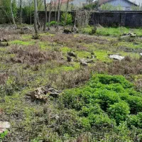 300 متر زمین مسکونی بر خیابان ۳۰ متری نزدیک دریا