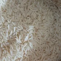 صدری دم سیاه سه الکه