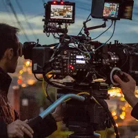 نیاز مند به هنرور  / حتی اتباع